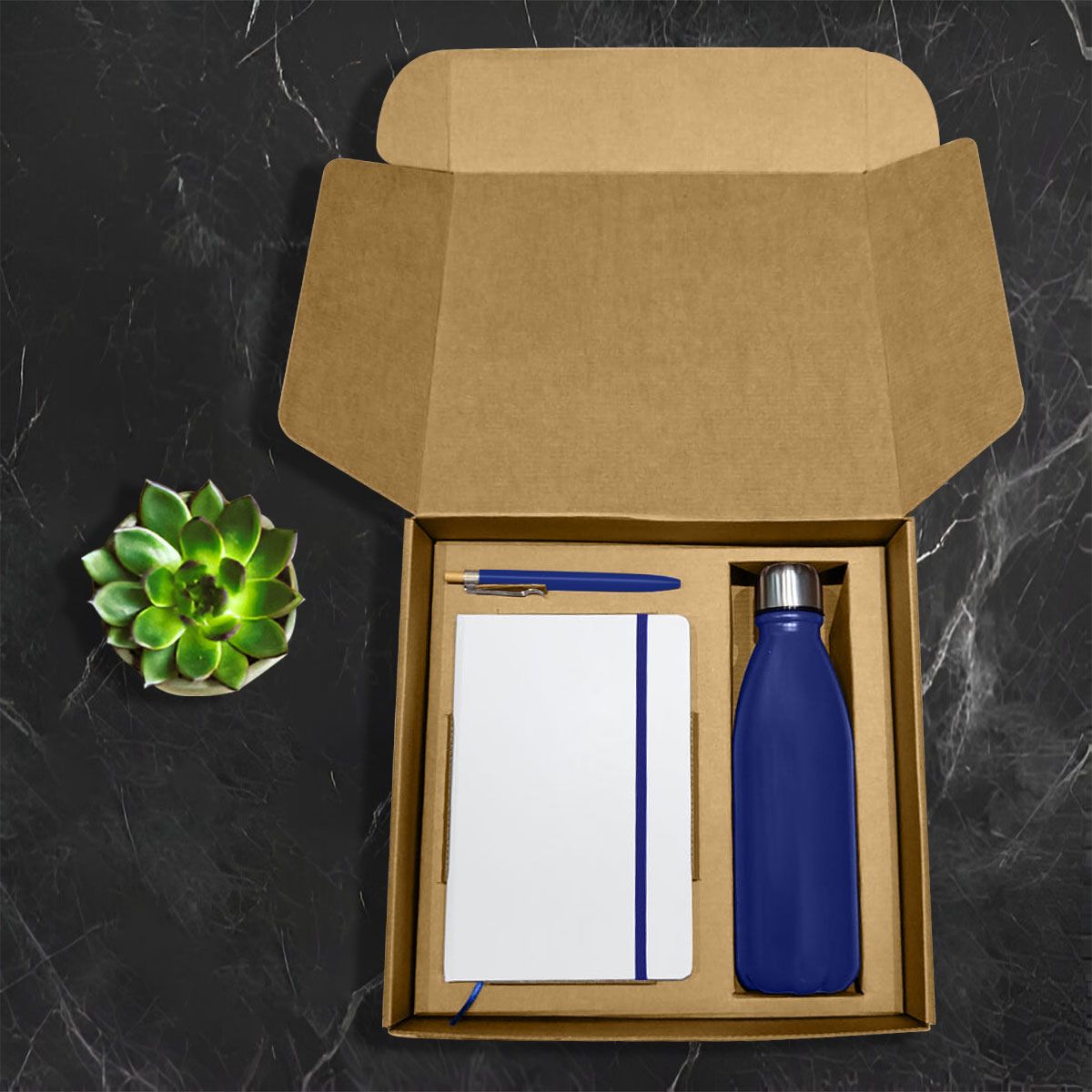 Sip & Script Essentials Gift Set