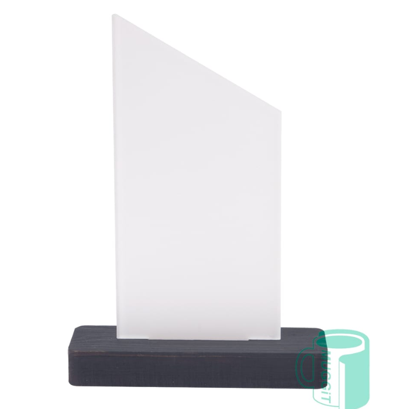 2T Slant Trophy - Image 6ac8a2a696027ec2409628ca