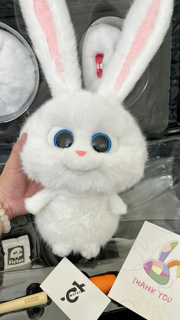 bunny