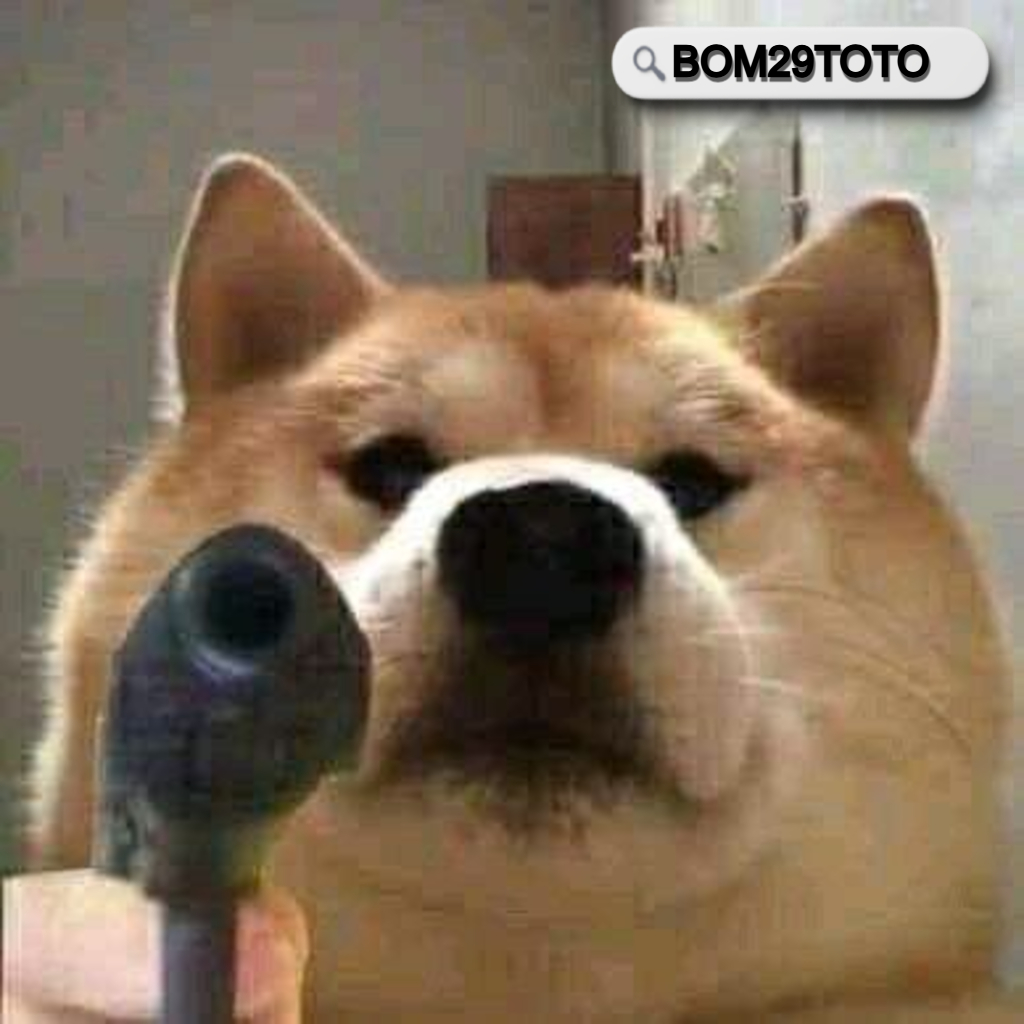 TB1b43RtrvpK1RjSZFqXXcXUVXa