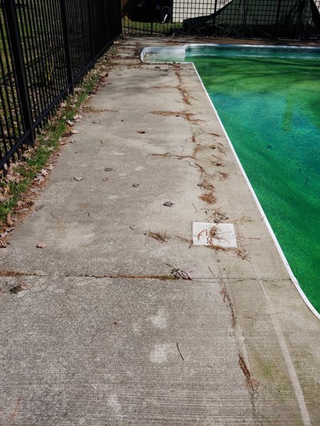 Restoration Project 2