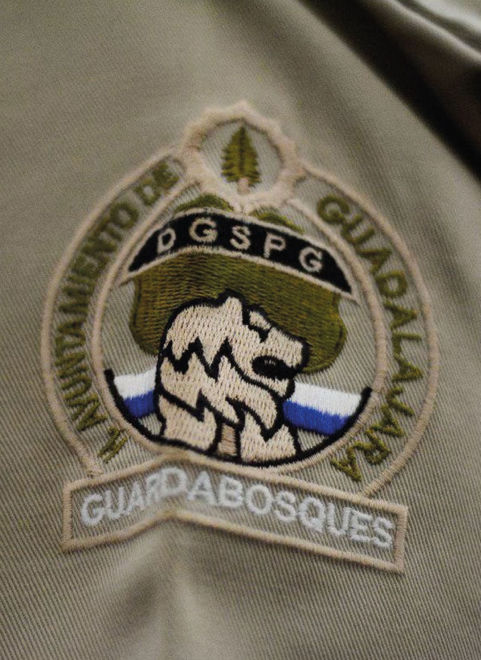 Imagen 4