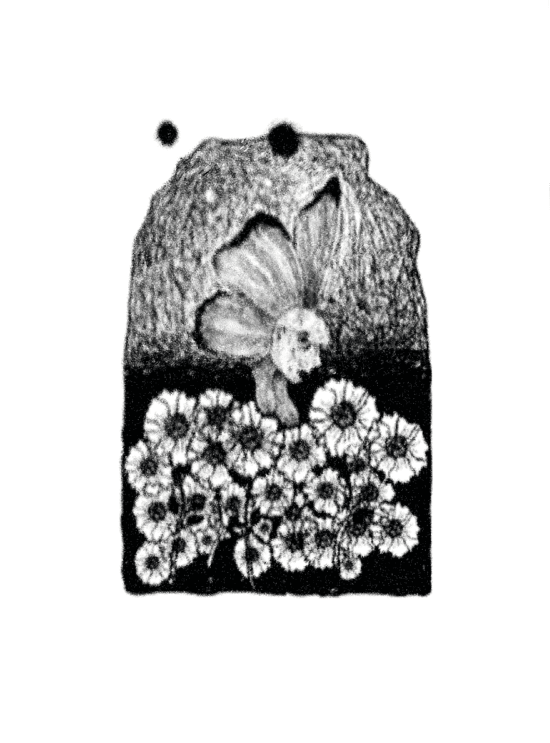 Ojalá ser una mariposa, oficina soto