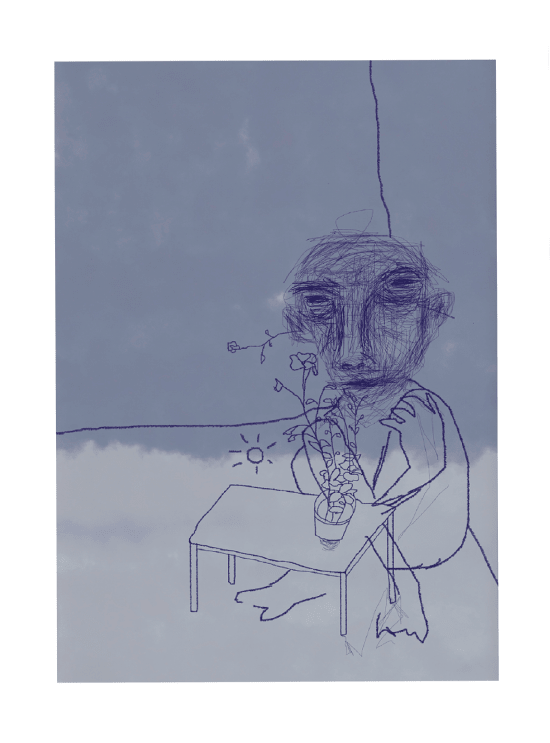 pentunia y sol azul, oficina soto