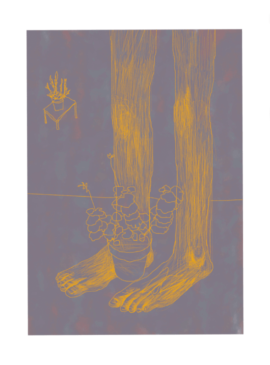 geranio, oficina soto