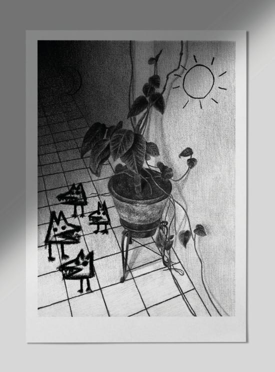 color sol, oficina soto