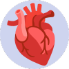 Cardiology and Vascular Disease {Heart}