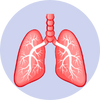 Chest and Respiratory