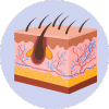 Dermatology