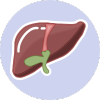 Hepatology {Liver}