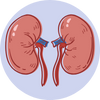 Nephrology {Kidney}