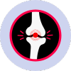 Osteopathy