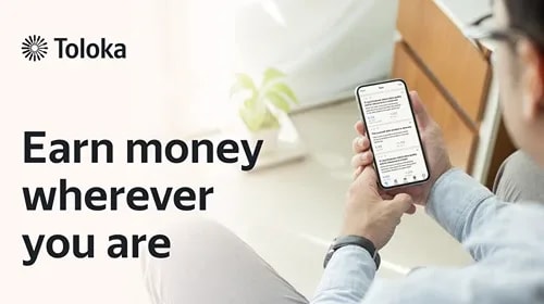 Toloka banner