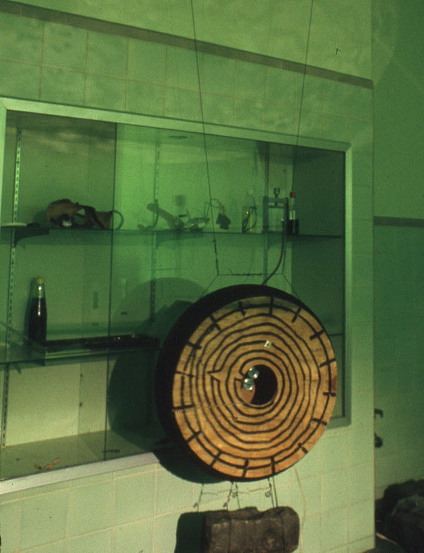 Symbiosis - The Clinic: Steve Topping