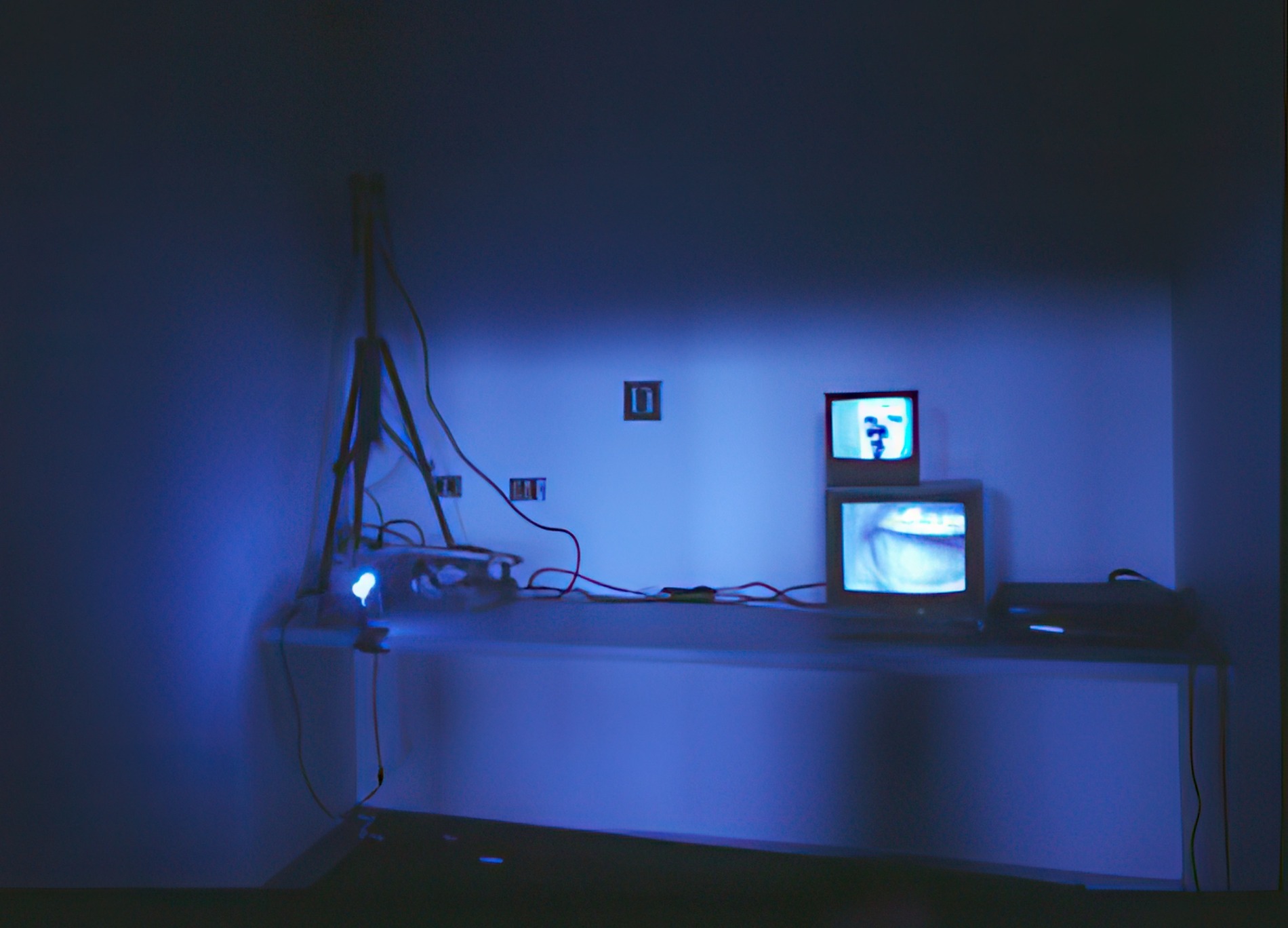 Bank of Symbiosis: Barbara Greczny 'you are being watched'