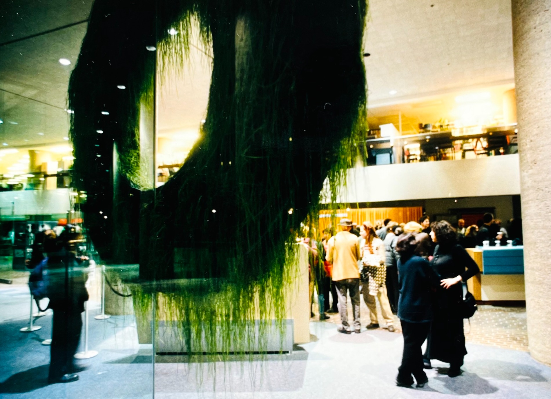 Bank of Symbiosis: opening reception