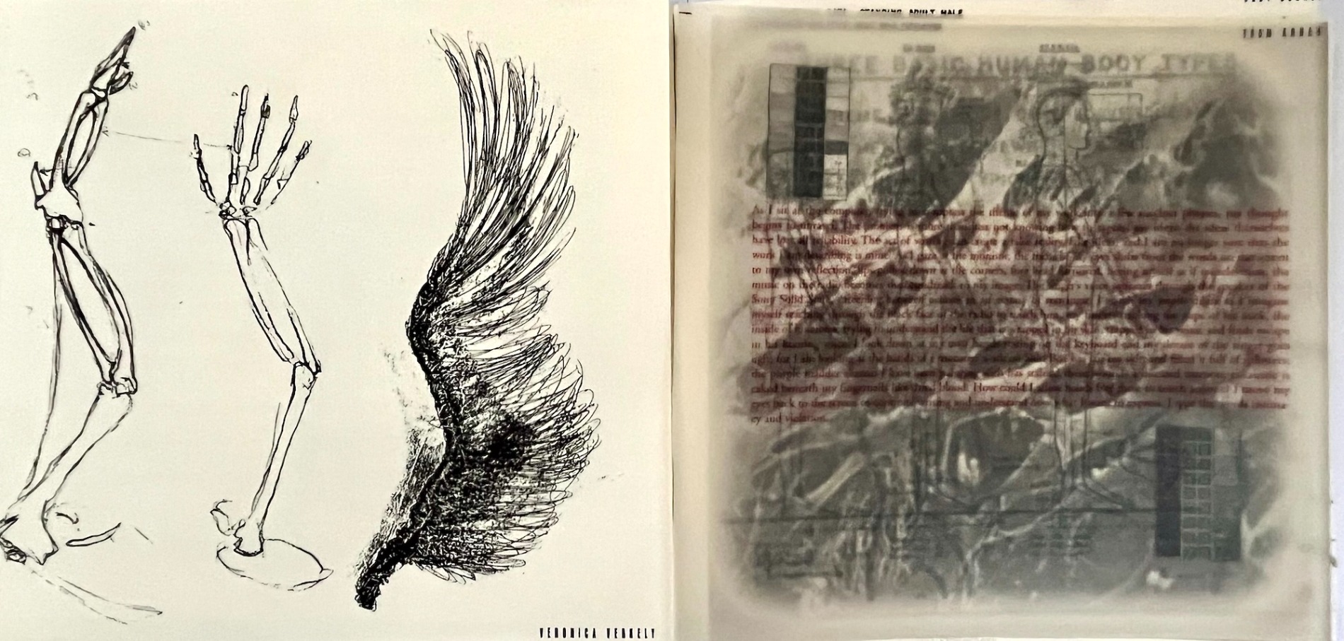 Symbiosis - The Clinic: artist's book - Veronica Verkley Hannah More 1995