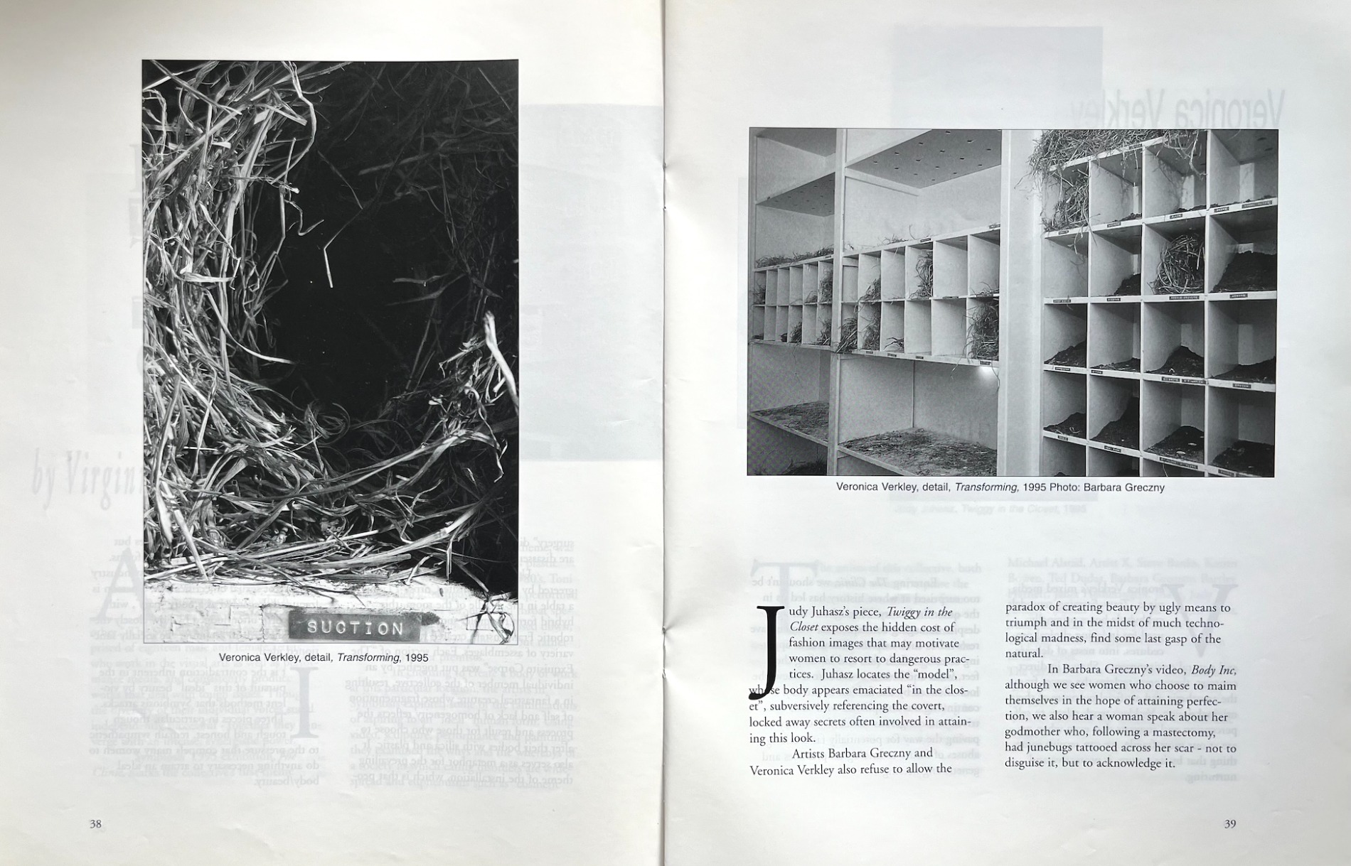 Symbiosis The Clinic: Review - Virginnia MacDonnell Matriart Volume 6 Number 2 & 3 1996