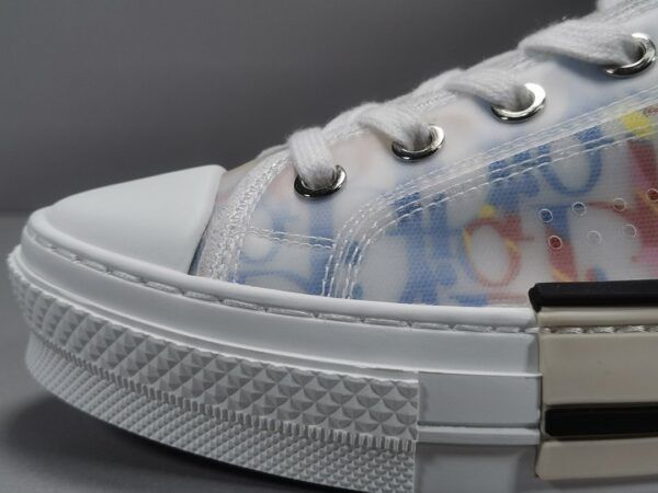 Multicolor B23 Dior Oblique