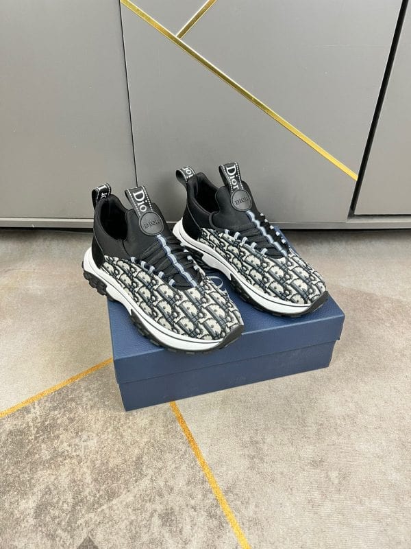 DIOR B27