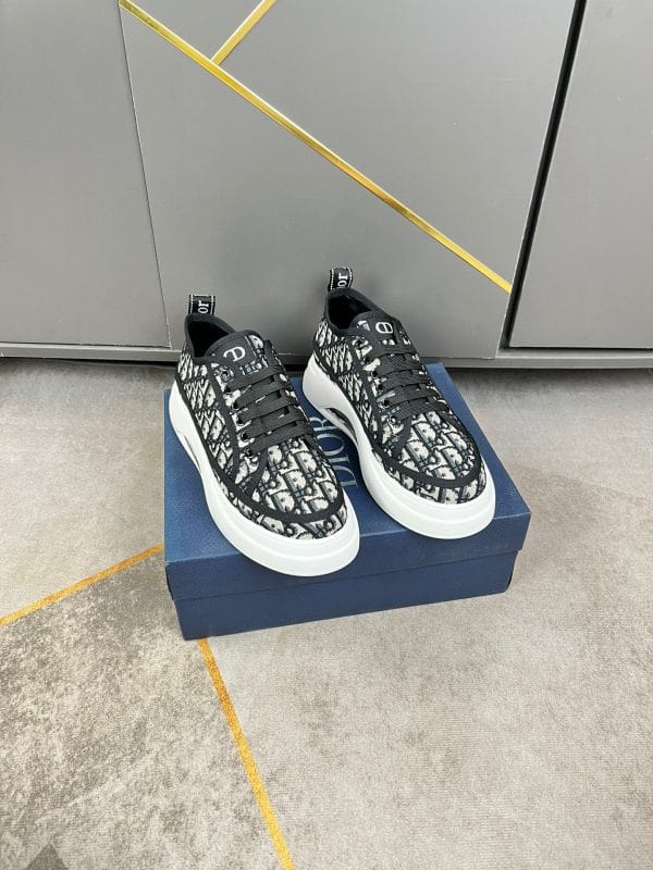DIOR B27
