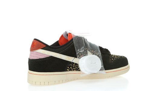 Nike SB Dunk Low ”Rainbow Trout”