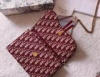 DIOR Bag
