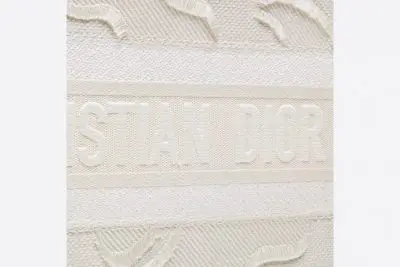 DIOR SMALL BOOK TOTE