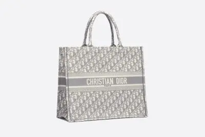 DIOR BOOK TOTE