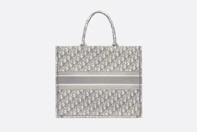 DIOR BOOK TOTE