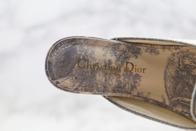 Dior OFF MULE Gray