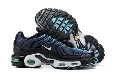 Nike Air Max Plus Blue