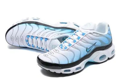 Nike Air Max Plus GS “Ice”