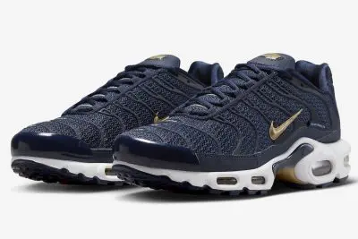 Nike Air Max Plus “French Football Federation”