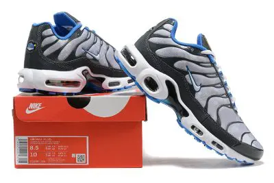 Nike Air Max Plus Grey Blue