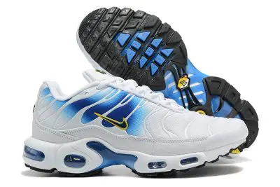 Nike Air Max Plus White Blue