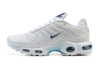 Nike Air Max Plus White Blue