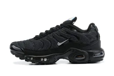 Nike Air Max Plus Black Sliver