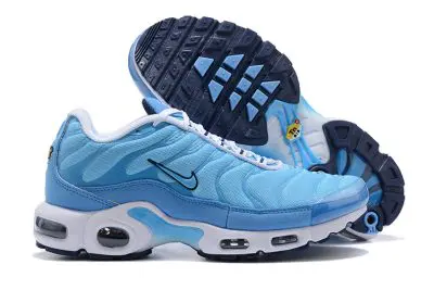 Nike Air Max Plus Blue