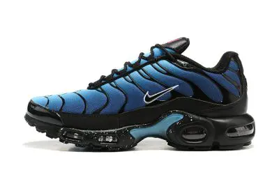 Nike Air Max Plus Blue Black