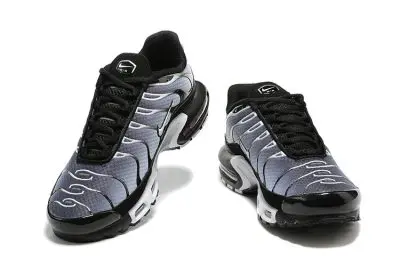 Nike Air Max Plus Sliver