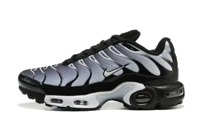 Nike Air Max Plus Sliver