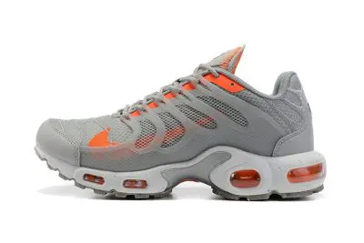 Nike Air Max Terrascape Plus Grey