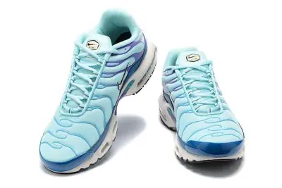 Nike Air Max Plus GS Blue