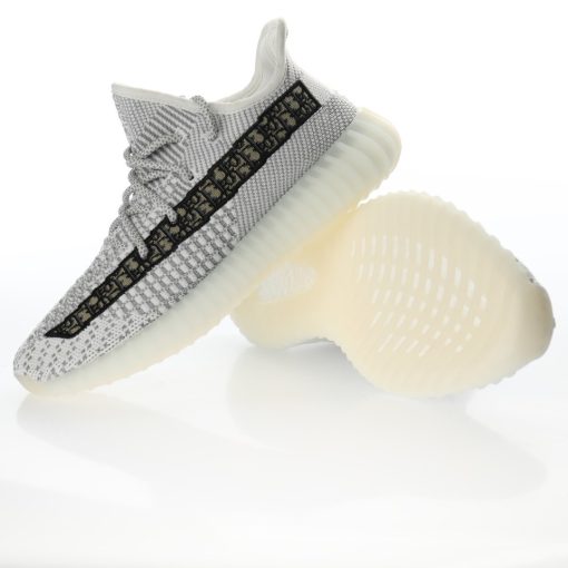 V2″White Oblique Dior/Static”