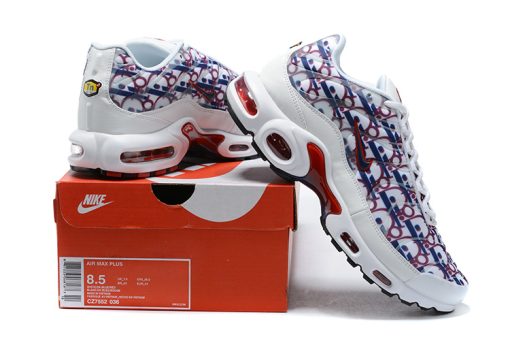 Nike TN Air Max Plus Dior blue