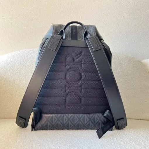 Dior Backpack