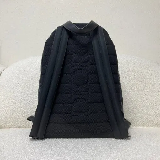 Dior Backpack