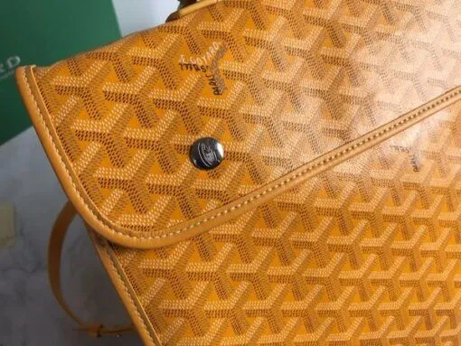 Goyard Backpack