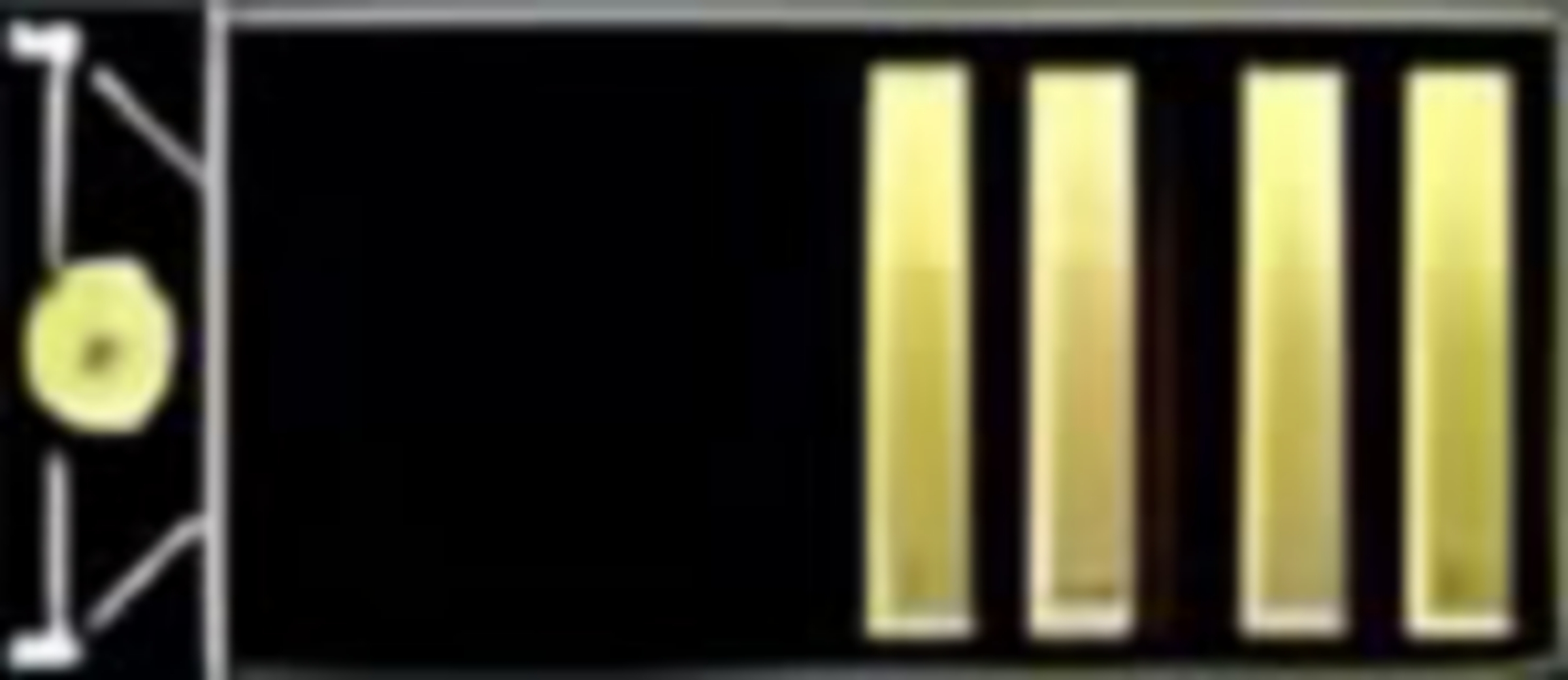 Chief Captain Epaulette